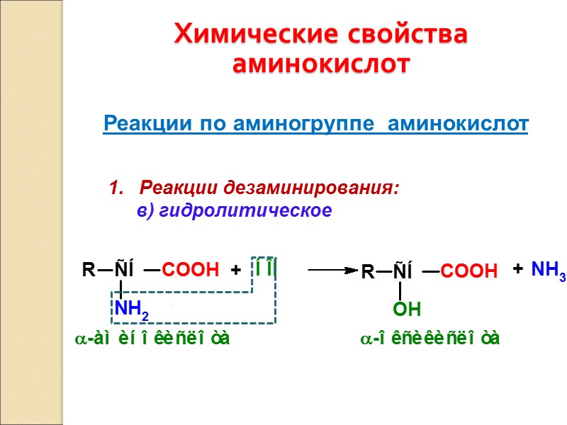 Химические свойства аминокислот Реакции по аминогруппе  аминокислот 1.   Реакции дезаминирования: 
